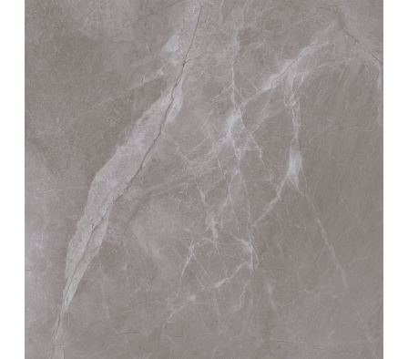 Piso Porcelanato Delta Fuji Pulido 63x63 2,75 M² 2213-A TONO 4