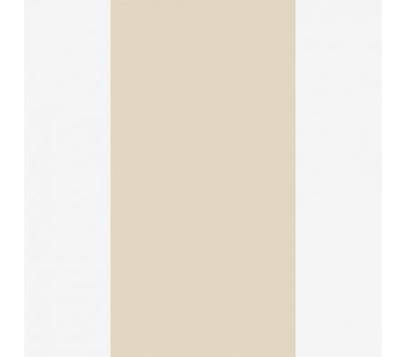 Revestimiento Ceramico  Almeida 32x62 Brillante Beige 32A12 Rectificado 1,95 M²